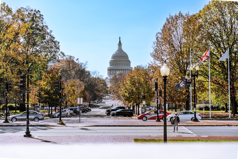 chauffeur service washington dc