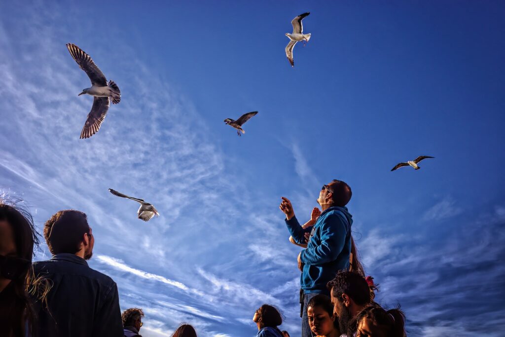 Say Goodbye to Airport Relocation Stress: The Definitive Handbook for Newark Airport 2