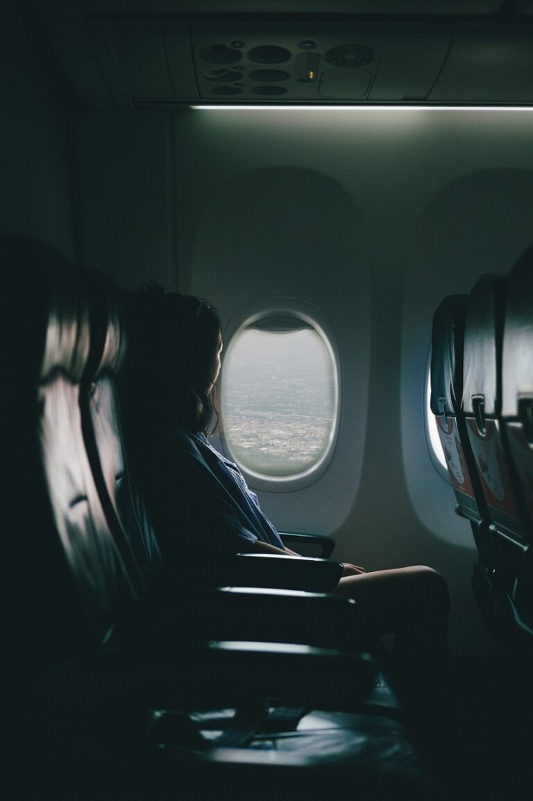 airplane, people, girl, window, travel, trip, flight, seat, passenger, airplane, airplane, airplane, airplane, airplane, flight, flight, flight, flight