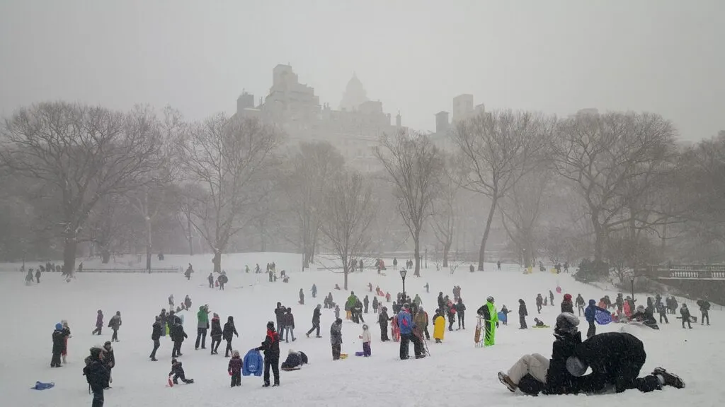 Limo n' Taxi Pricing in 2025: Ultimate NYC Guide to Smart Rides 1 October 16, 2026 snow, central park, new york, new, cold, tree, york, central park new york, cityscape, landscape, frozen, winter, manhattan, nature, sledding, gray news, gray park, gray new