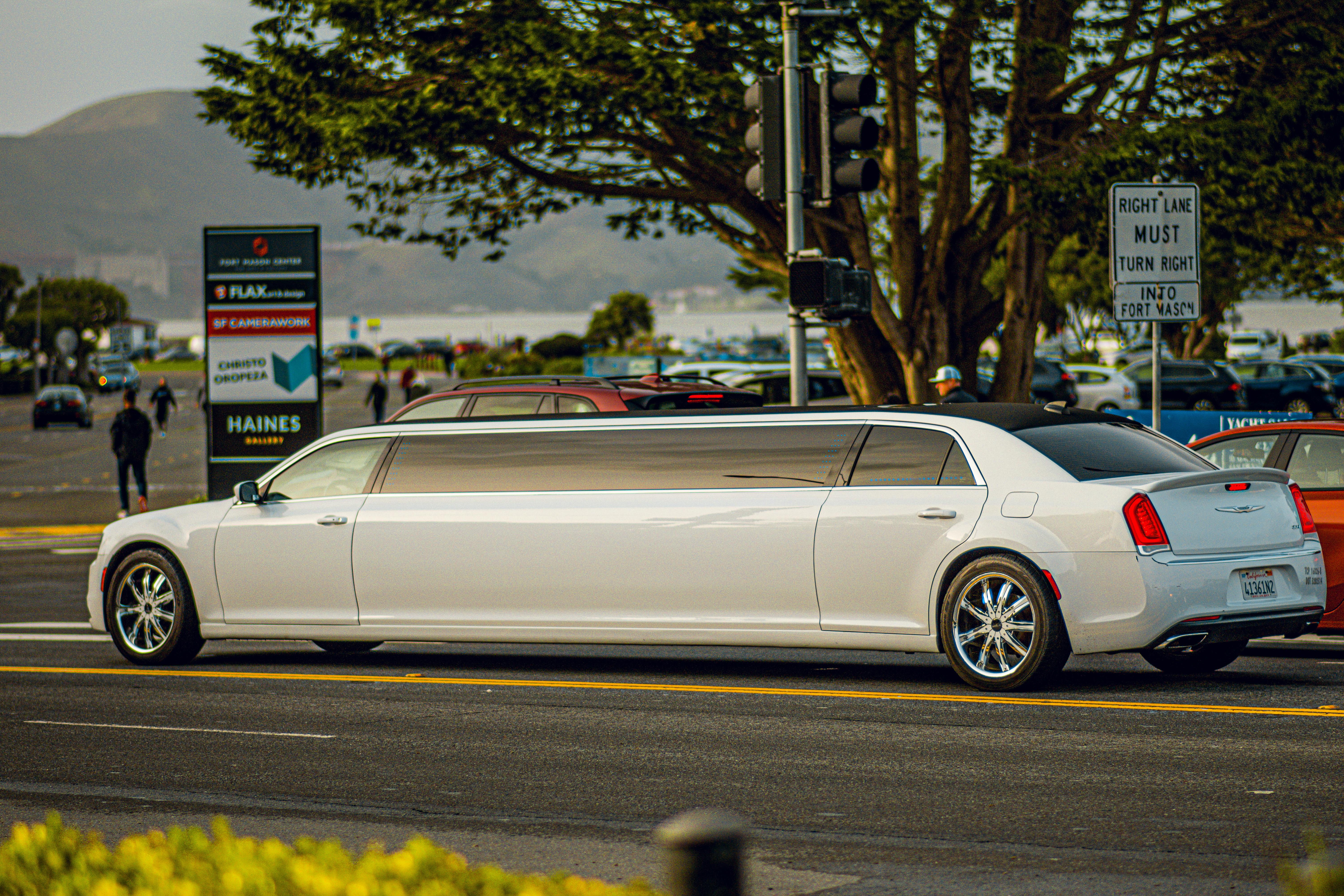 private limousine service