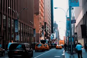 New Jersey Articles & News freeman September 18, 2026
