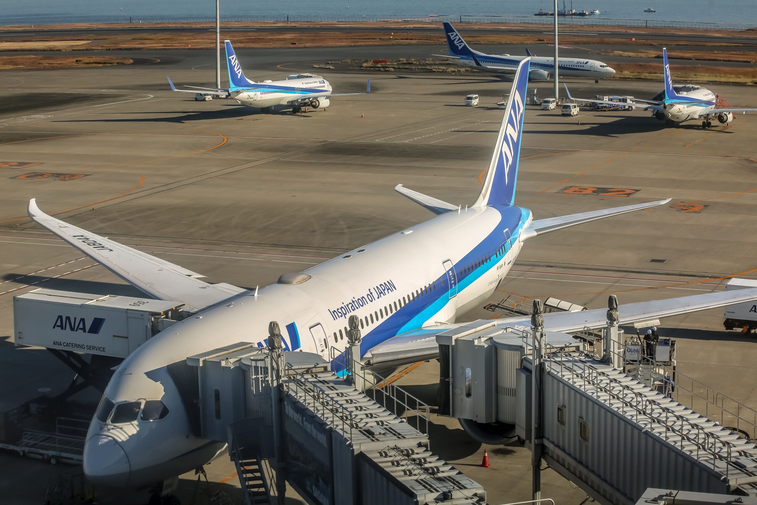 lga airport car service: airplane at LaGuardia Airport terminal